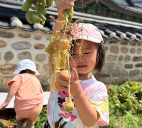[공주] ‘새싹이네 감…