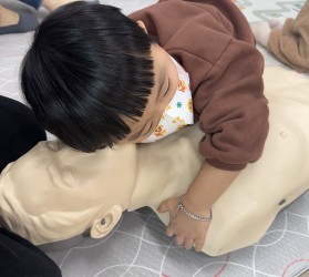 [공주] 새싹 ‘안전장…