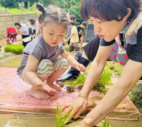 [공주] ‘새싹이네 모…